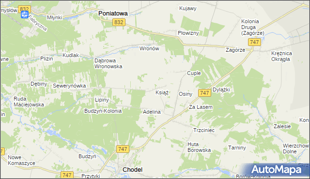mapa Książ gmina Chodel, Książ gmina Chodel na mapie Targeo