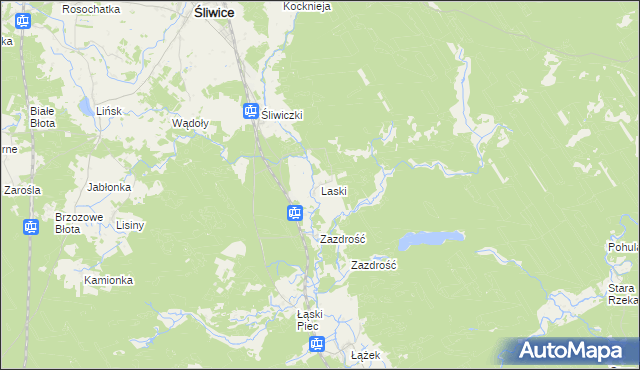 mapa Laski gmina Śliwice, Laski gmina Śliwice na mapie Targeo