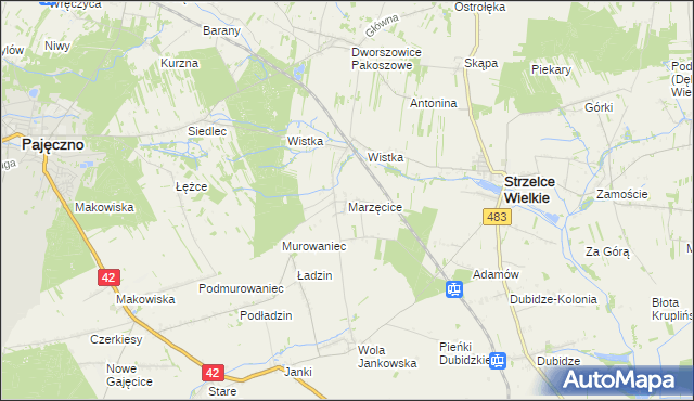 mapa Marzęcice gmina Strzelce Wielkie, Marzęcice gmina Strzelce Wielkie na mapie Targeo