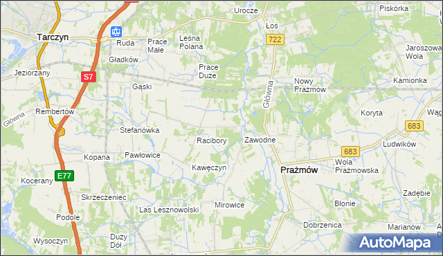 mapa Nowe Racibory gmina Tarczyn, Nowe Racibory gmina Tarczyn na mapie Targeo