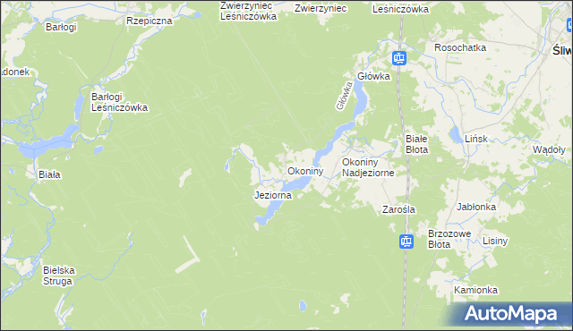 mapa Okoniny gmina Śliwice, Okoniny gmina Śliwice na mapie Targeo