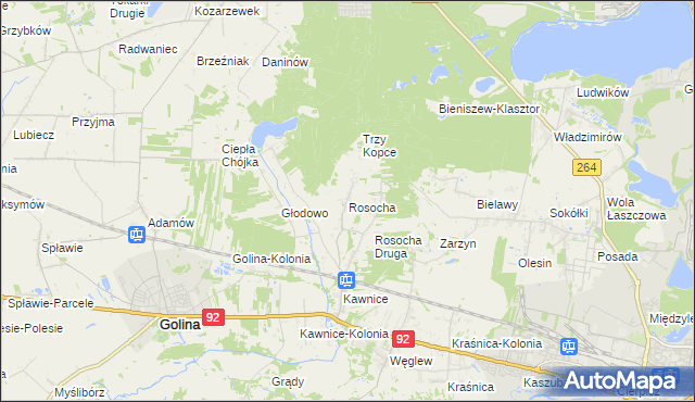 mapa Rosocha gmina Golina, Rosocha gmina Golina na mapie Targeo