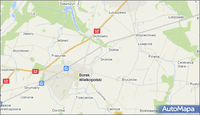 mapa Skoków gmina Borek Wielkopolski, Skoków gmina Borek Wielkopolski na mapie Targeo