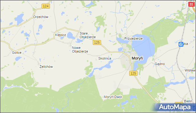 mapa Skotnica gmina Moryń, Skotnica gmina Moryń na mapie Targeo