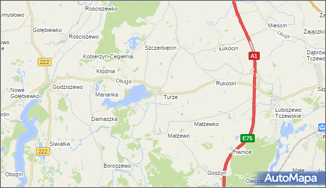 mapa Turze gmina Tczew, Turze gmina Tczew na mapie Targeo