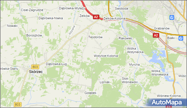 mapa Wołyńce-Kolonia, Wołyńce-Kolonia na mapie Targeo