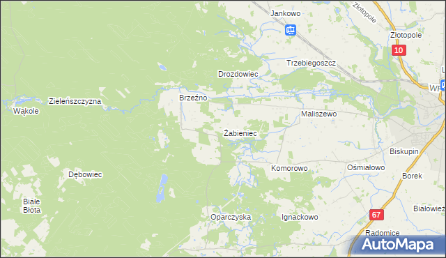 mapa Żabieniec gmina Lipno, Żabieniec gmina Lipno na mapie Targeo