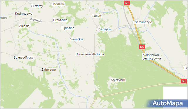 mapa Białaszewo, Białaszewo na mapie Targeo