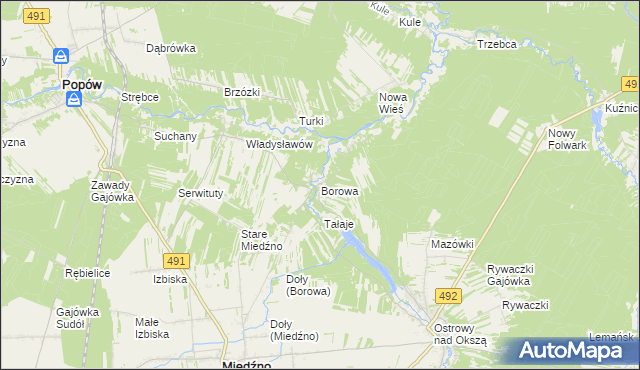 mapa Borowa gmina Miedźno, Borowa gmina Miedźno na mapie Targeo