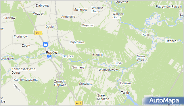 mapa Brzózki gmina Popów, Brzózki gmina Popów na mapie Targeo