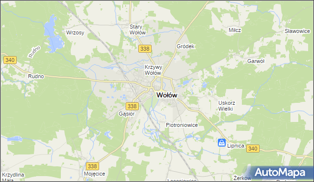 mapa Wołów, Wołów na mapie Targeo