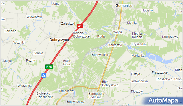 mapa Borowiecko, Borowiecko na mapie Targeo