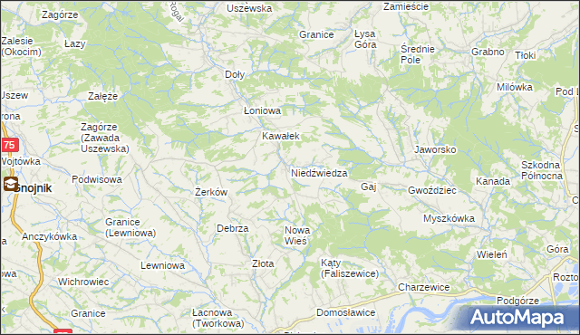 mapa Niedźwiedza, Niedźwiedza na mapie Targeo