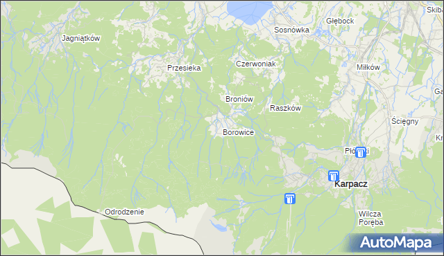 mapa Borowice gmina Podgórzyn, Borowice gmina Podgórzyn na mapie Targeo