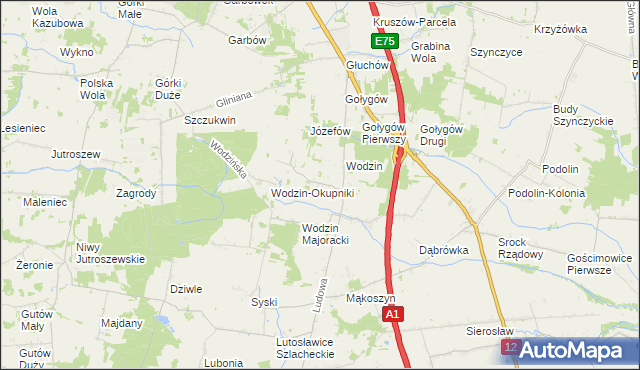 mapa Wodzin Prywatny, Wodzin Prywatny na mapie Targeo