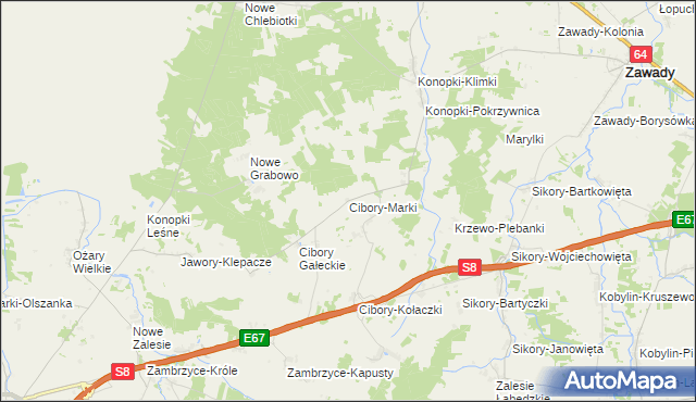 mapa Cibory-Marki, Cibory-Marki na mapie Targeo