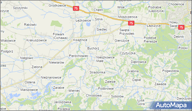 mapa Nieszkowice Małe, Nieszkowice Małe na mapie Targeo