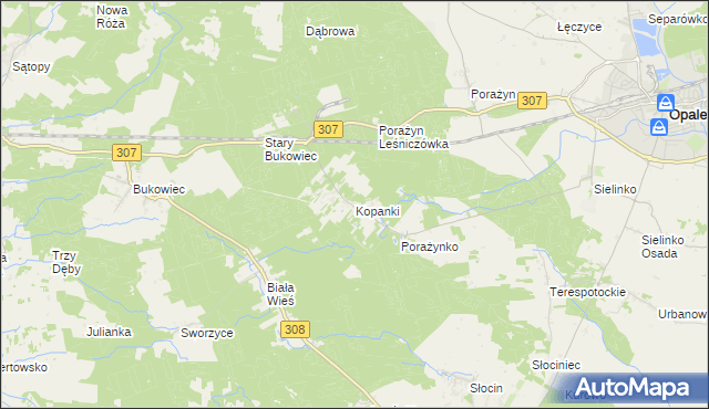 mapa Kopanki gmina Opalenica, Kopanki gmina Opalenica na mapie Targeo