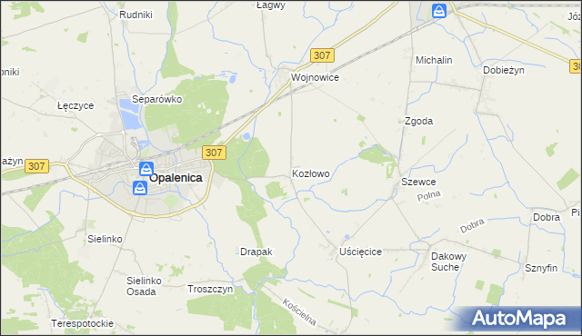 mapa Kozłowo gmina Opalenica, Kozłowo gmina Opalenica na mapie Targeo