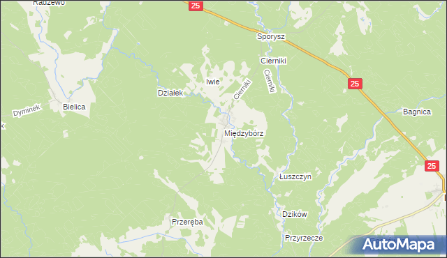 mapa Międzybórz gmina Rzeczenica, Międzybórz gmina Rzeczenica na mapie Targeo