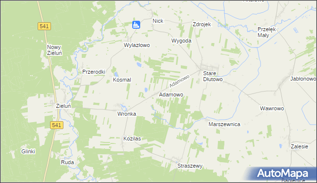 mapa Adamowo gmina Lidzbark, Adamowo gmina Lidzbark na mapie Targeo