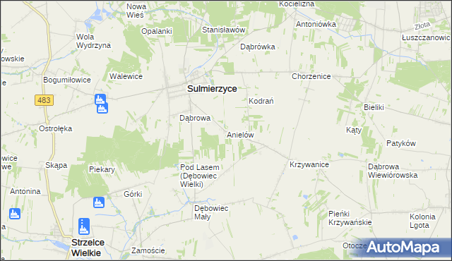 mapa Anielów gmina Sulmierzyce, Anielów gmina Sulmierzyce na mapie Targeo