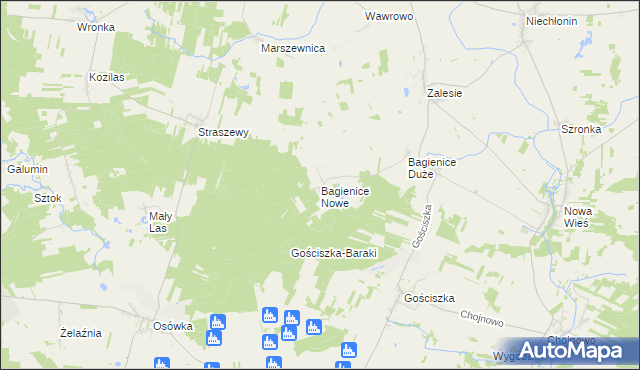 mapa Bagienice Nowe, Bagienice Nowe na mapie Targeo