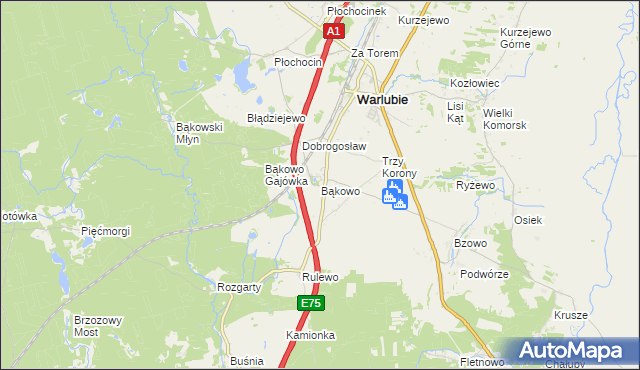 mapa Bąkowo gmina Warlubie, Bąkowo gmina Warlubie na mapie Targeo