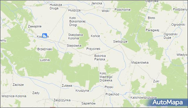 mapa Bokinka Pańska, Bokinka Pańska na mapie Targeo