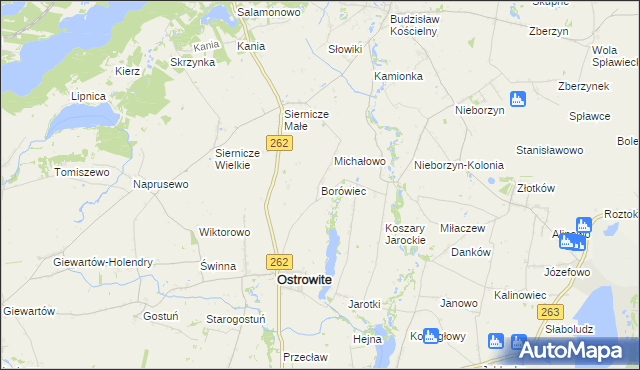 mapa Borówiec gmina Ostrowite, Borówiec gmina Ostrowite na mapie Targeo