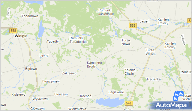 mapa Borowo gmina Tłuchowo, Borowo gmina Tłuchowo na mapie Targeo