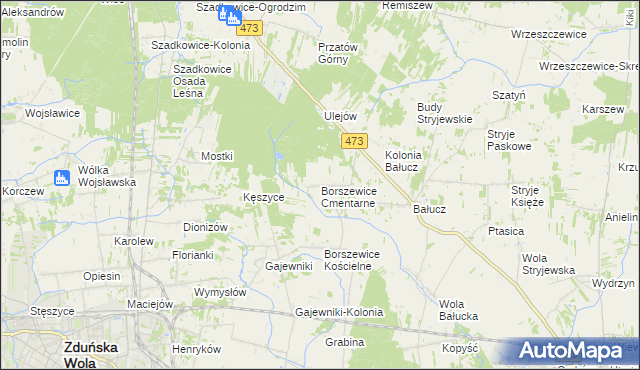 mapa Borszewice Cmentarne, Borszewice Cmentarne na mapie Targeo