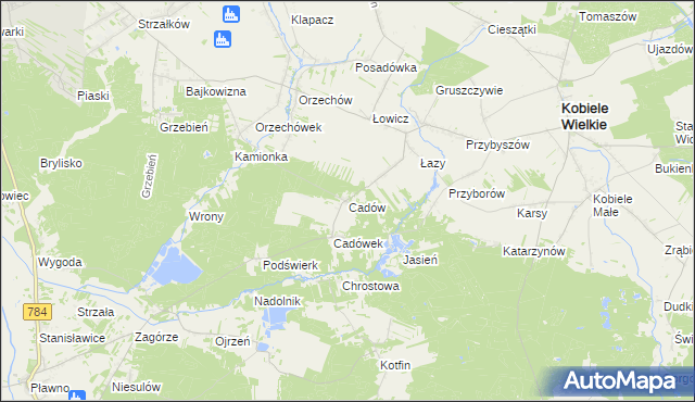 mapa Cadów, Cadów na mapie Targeo