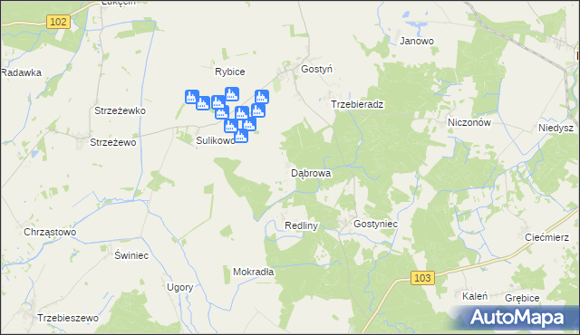 mapa Dąbrowa gmina Świerzno, Dąbrowa gmina Świerzno na mapie Targeo