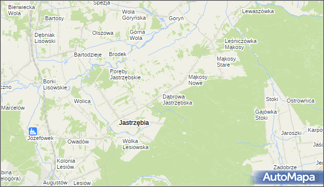 mapa Dąbrowa Jastrzębska, Dąbrowa Jastrzębska na mapie Targeo