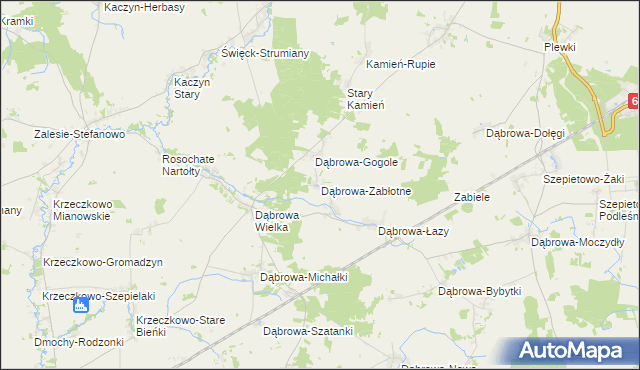 mapa Dąbrowa-Zabłotne, Dąbrowa-Zabłotne na mapie Targeo