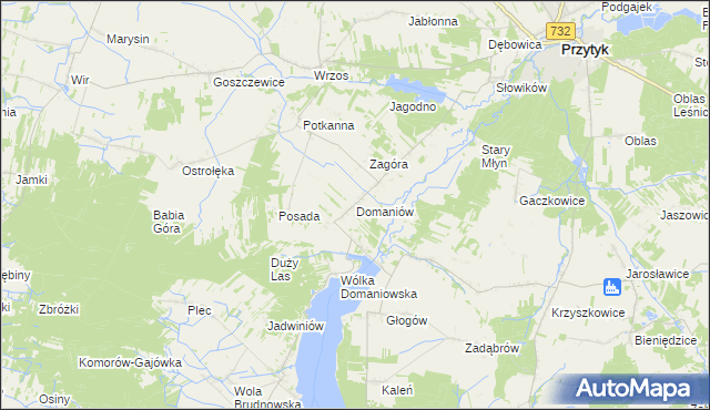 mapa Domaniów gmina Przytyk, Domaniów gmina Przytyk na mapie Targeo