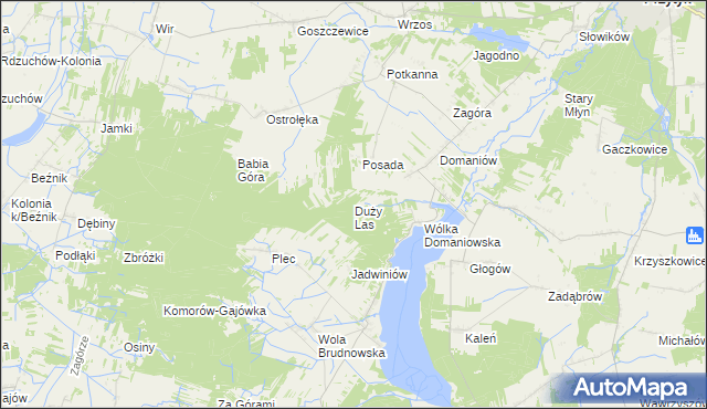 mapa Duży Las gmina Przytyk, Duży Las gmina Przytyk na mapie Targeo