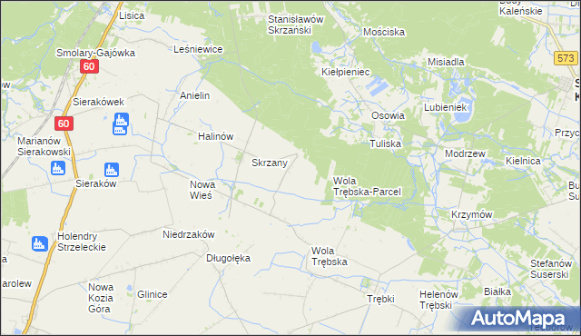 mapa Feliksów gmina Gostynin, Feliksów gmina Gostynin na mapie Targeo