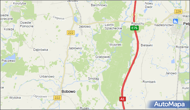 mapa Grabowiec gmina Bobowo, Grabowiec gmina Bobowo na mapie Targeo