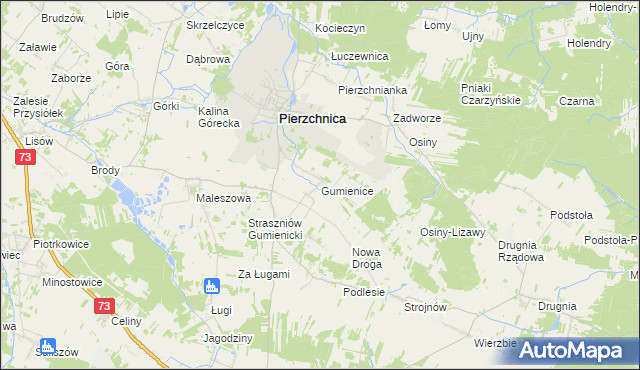 mapa Gumienice gmina Pierzchnica, Gumienice gmina Pierzchnica na mapie Targeo