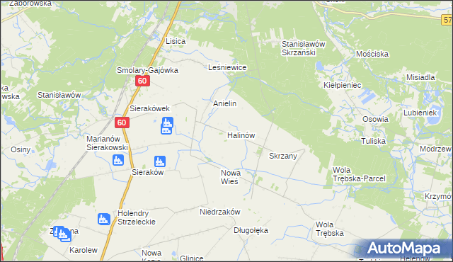 mapa Halinów gmina Gostynin, Halinów gmina Gostynin na mapie Targeo