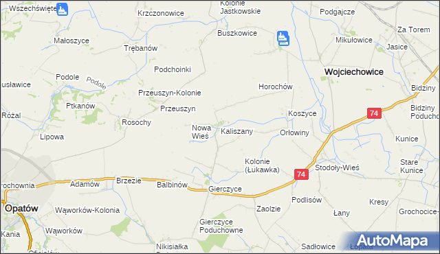 mapa Kaliszany gmina Wojciechowice, Kaliszany gmina Wojciechowice na mapie Targeo