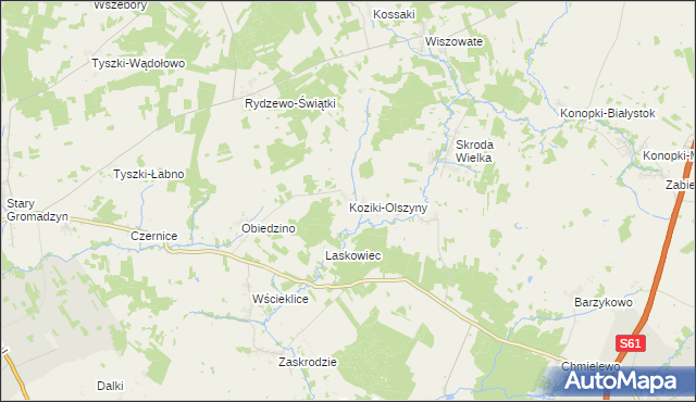 mapa Koziki-Olszyny, Koziki-Olszyny na mapie Targeo