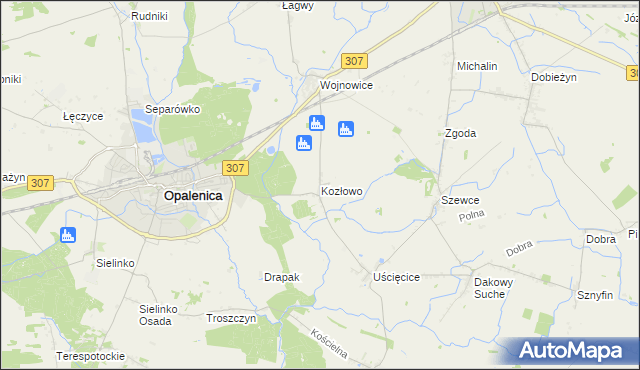 mapa Kozłowo gmina Opalenica, Kozłowo gmina Opalenica na mapie Targeo