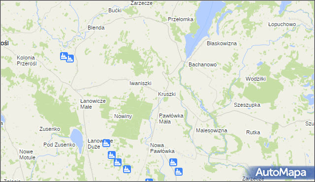 mapa Kruszki gmina Przerośl, Kruszki gmina Przerośl na mapie Targeo