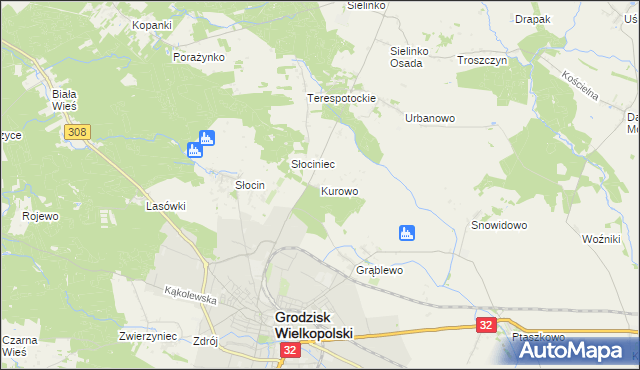 mapa Kurowo gmina Grodzisk Wielkopolski, Kurowo gmina Grodzisk Wielkopolski na mapie Targeo