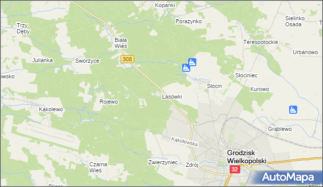 mapa Lasówki gmina Grodzisk Wielkopolski, Lasówki gmina Grodzisk Wielkopolski na mapie Targeo