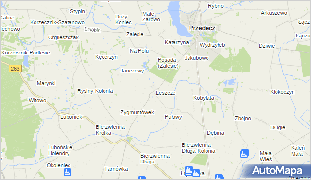 mapa Leszcze gmina Kłodawa, Leszcze gmina Kłodawa na mapie Targeo