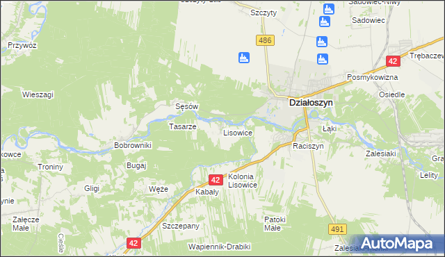 mapa Lisowice gmina Działoszyn, Lisowice gmina Działoszyn na mapie Targeo